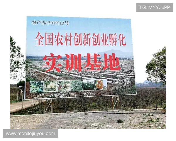 九游会登录入口j9：九游会官网登录入口的安全验证与账号保护措施